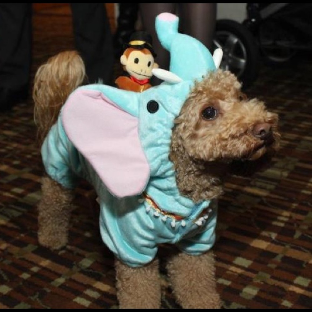 Dog elephant costume
